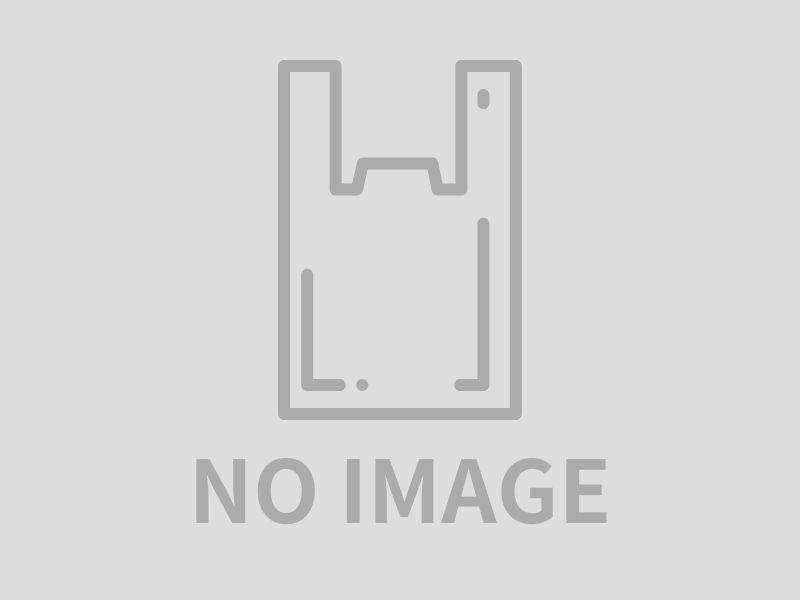 【3月1日～5月31日お届け分限定】季節の華やか野菜御膳 岐山【春味】