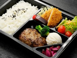 牛豚ハンバーグ＆ヒレカツ弁当（おろしポン酢）
