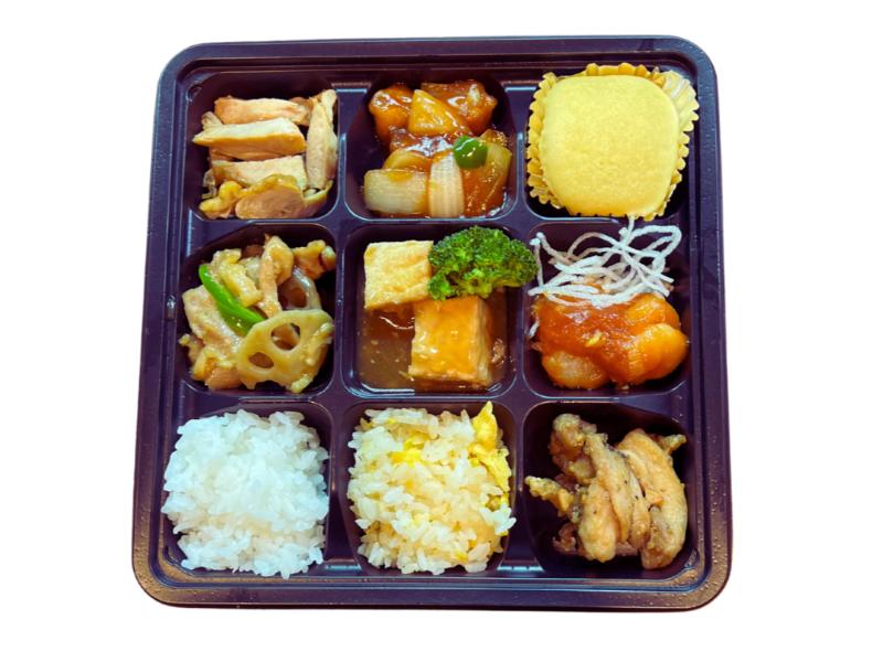 ナインパーテーション 百日草