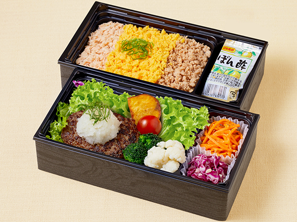 黒毛和牛とろけるおろしはんばーぐ＆三色そぼろ御膳